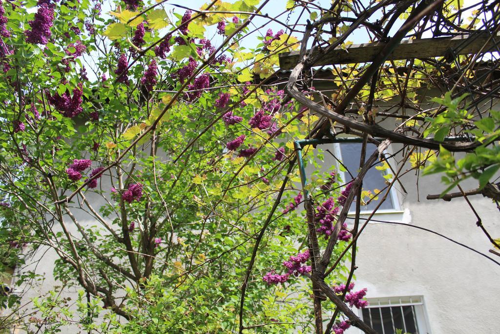 Apartment On Zaliznychna Lviv Kültér fotó